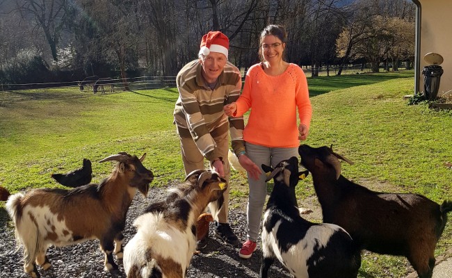 Séjour Animaux en fête - Vacances adaptées noël 2026 Photo séjour Animaux en fête
