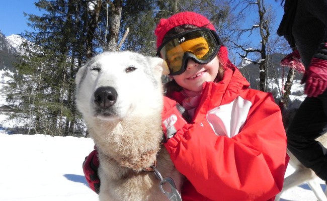 Photo séjour Au Rythme des Huskies