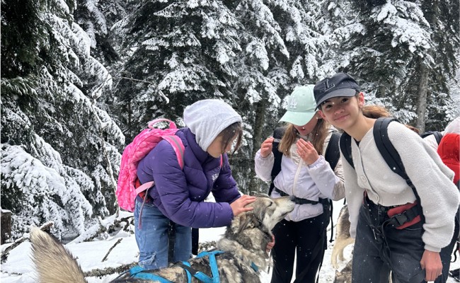 Photo séjour Au Rythme des Huskies