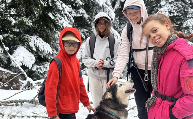 Photo séjour Au Rythme des Huskies