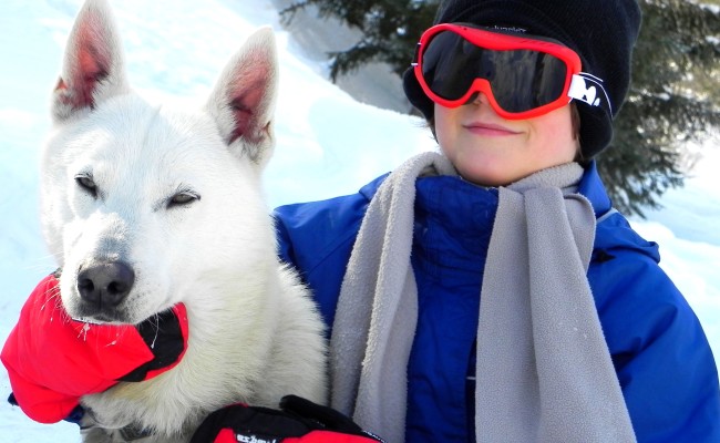 Photo séjour Au Rythme des Huskies