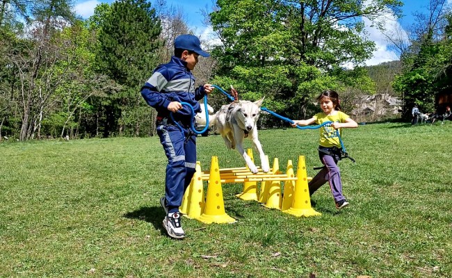 Photo séjour Cocktail aventures junior