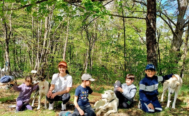 Photo séjour Cocktail aventures junior