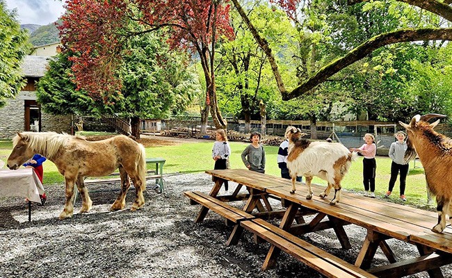 Photo séjour Aventuriers des Pyrénées