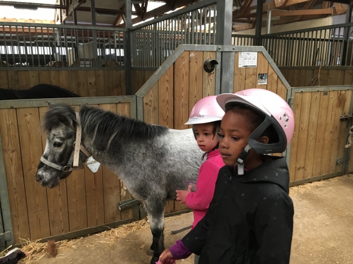 Photo séjour Cocktail montagne